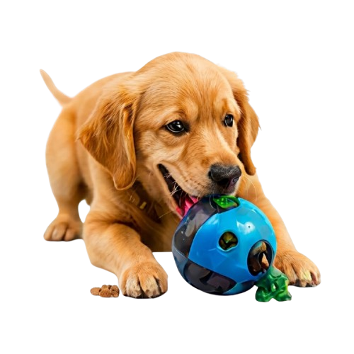 Pet ball
