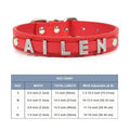 Bling Personalized Dog Pet Puppy Cat Collar | Custom Leather Dog