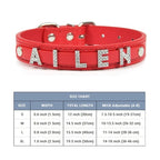 Bling Personalized Dog Pet Puppy Cat Collar | Custom Leather Dog