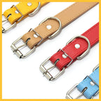 Bling Personalized Dog Pet Puppy Cat Collar | Custom Leather Dog