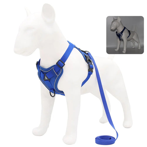 Harness and Leash Set Pet Accessories Dog Harness For Small Dog French