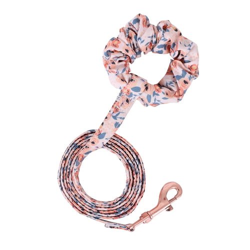 Small Dog Harness Leash Set Cute Traction Bracelet Medium Cat Collar