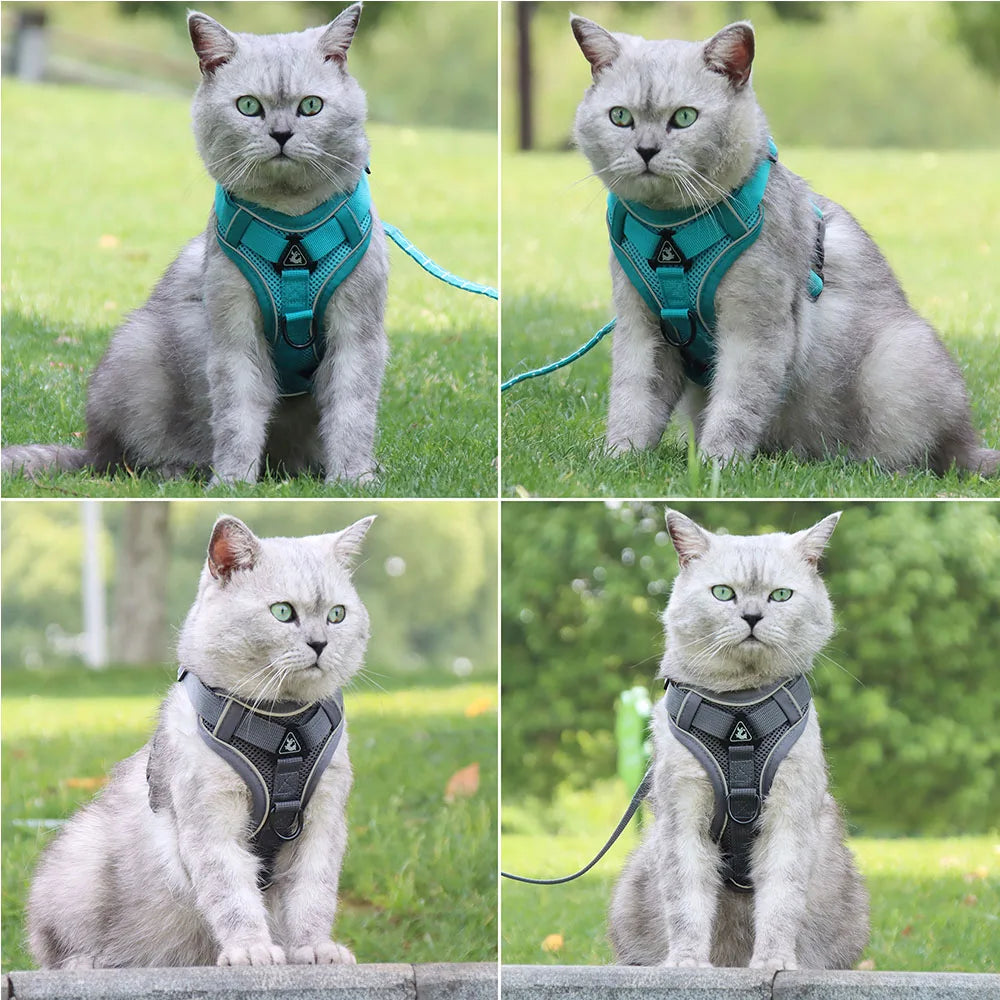 Dog Harness For Small Dog French Bulldog Pug Pitbull Puppy Pectoral Collar Chiens Supplies