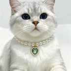 Princess Style Pet Pearl Collar for Dogs Cats - Cute Jewelry Accessory