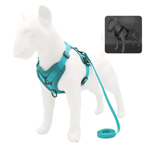 Harness and Leash Set Pet Accessories Dog Harness For Small Dog French