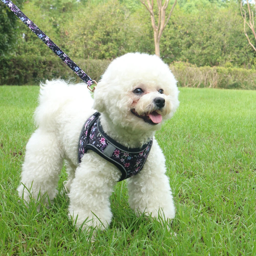 Small Dog Harness Leash Set Cute Traction Bracelet Medium Cat Collar