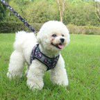 Small Dog Harness Leash Set Cute Traction Bracelet Medium Cat Collar