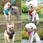 Dog Harness For Small Dog French Bulldog Pug Pitbull Puppy Pectoral Collar Chiens Supplies