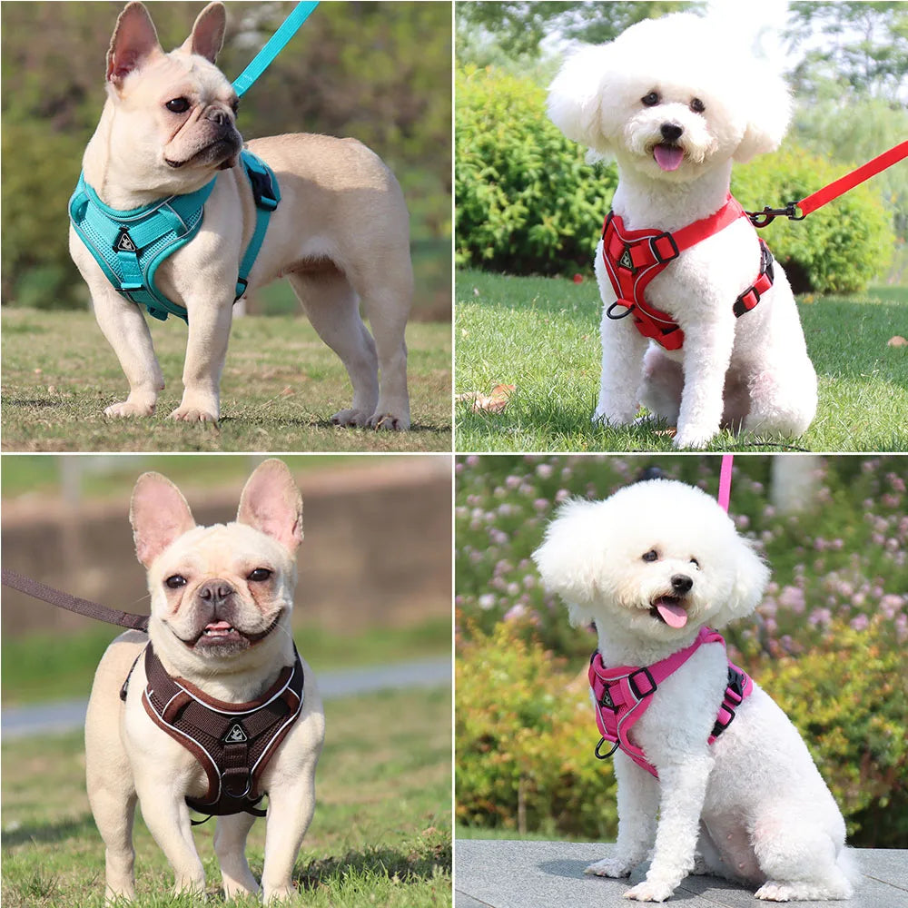 Dog Harness For Small Dog French Bulldog Pug Pitbull Puppy Pectoral Collar Chiens Supplies