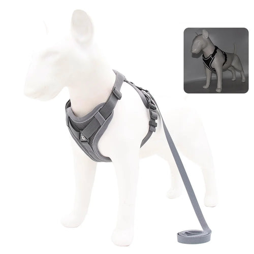 Harness and Leash Set Pet Accessories Dog Harness For Small Dog French