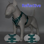 Dog Harness For Small Dog French Bulldog Pug Pitbull Puppy Pectoral Collar Chiens Supplies