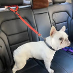 Solid Color Pet Car Seat Belt Nylon Lead Leash Backseat Safety Belt