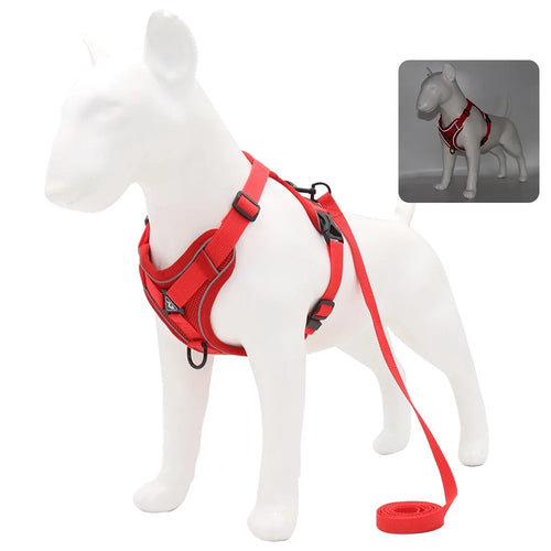 Harness and Leash Set Pet Accessories Dog Harness For Small Dog French